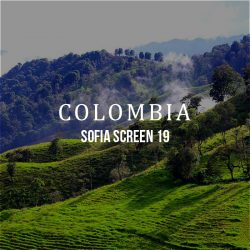 colombiasofiascreen19