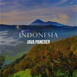 indonesiajava