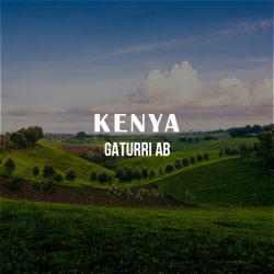 kenyagaturriav
